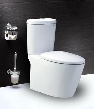 Bồn cầu 2 khối Caesar CD1348