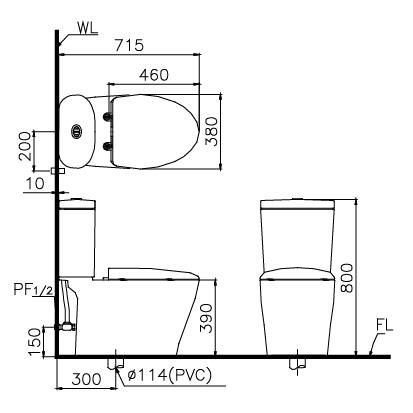 Bồn cầu 2 khối Caesar CD1348