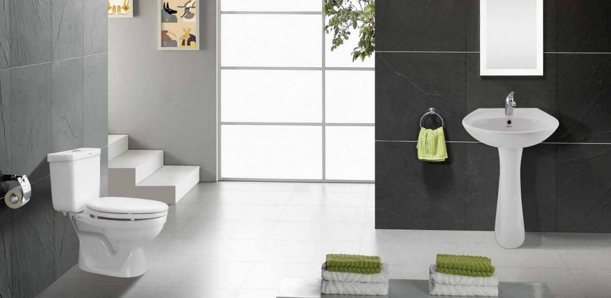 bon-cau-caesar-2-1 ưu nhược điểm của bồn cầu caesar 2 khối