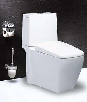 Bồn cầu 2 khối Caesar CD1346