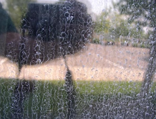 Làm sạch gương soi Caesar bằng nước lau kính chuyên dụng