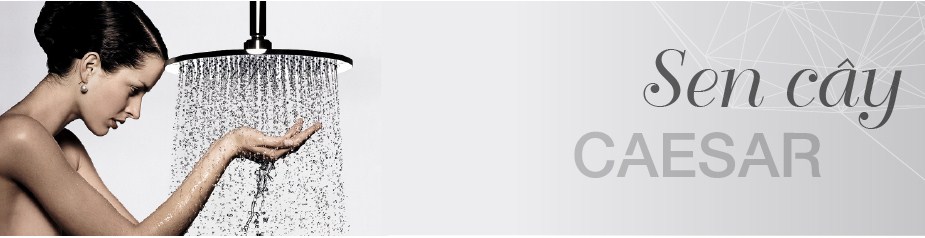 sen-caesar-gia-re Tắm dưới vòi sencaesar