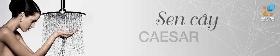 sen-cay-caesar-6 Sen cây caesar giúp bạn thư giãn