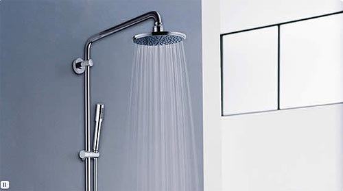 Sen cây Caesar hiện đại sang trọng